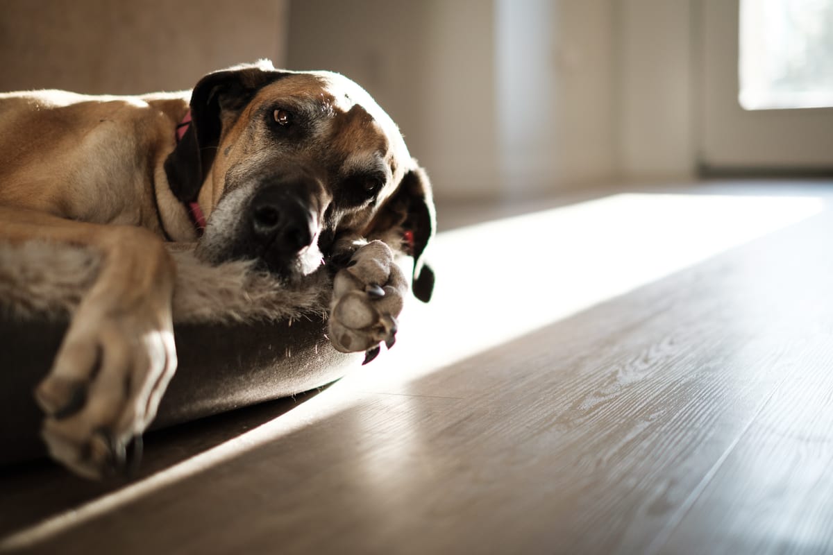 First Post, Doesn't Matter