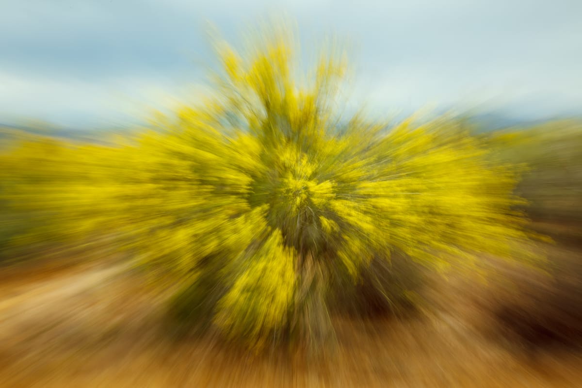 Abstract Palo Verde