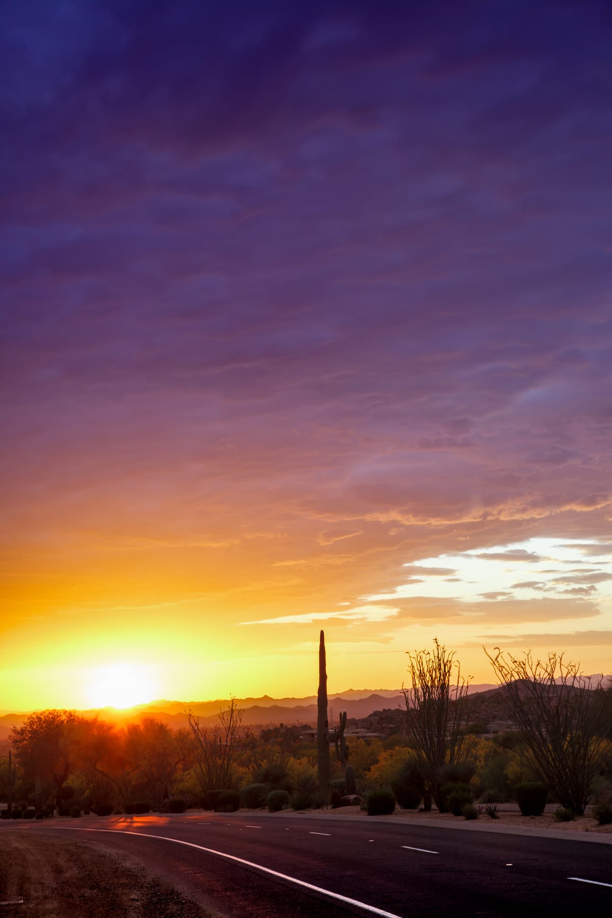 Right Place, Right Time