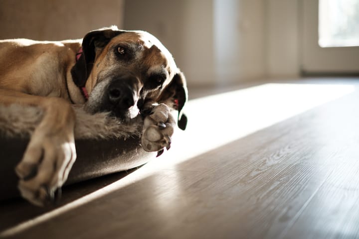 First Post, Doesn't Matter